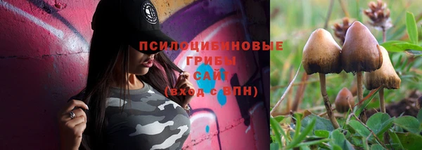 spice Белоозёрский