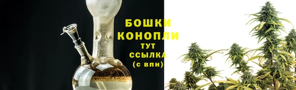 гидра Баксан