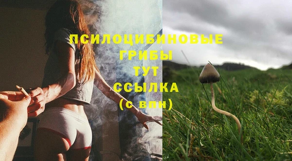 spice Белоозёрский