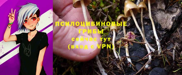 mdpv Беломорск