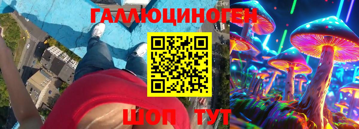 Галлюциногенные грибы Magic Shrooms Гулькевичи